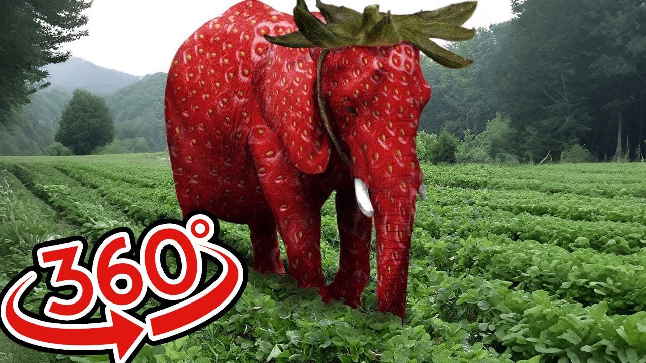 Find Strawberry Elephant in 360˚