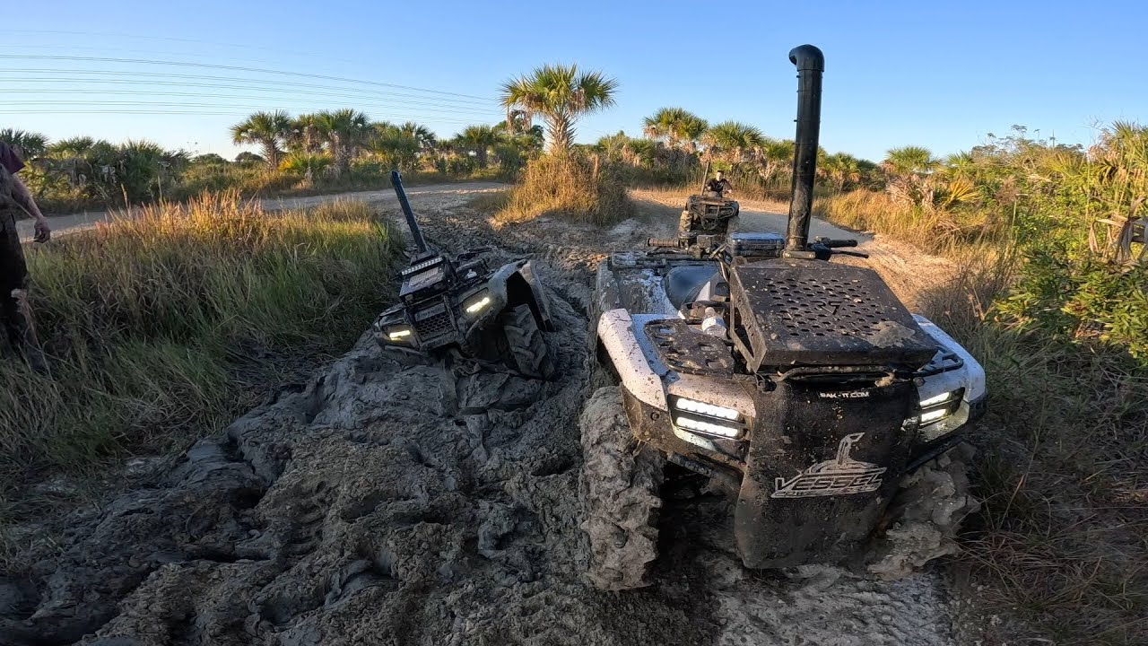 В самую густую грязь Флориды на моём Honda 420 Rancher! (Мы все застряли!!)