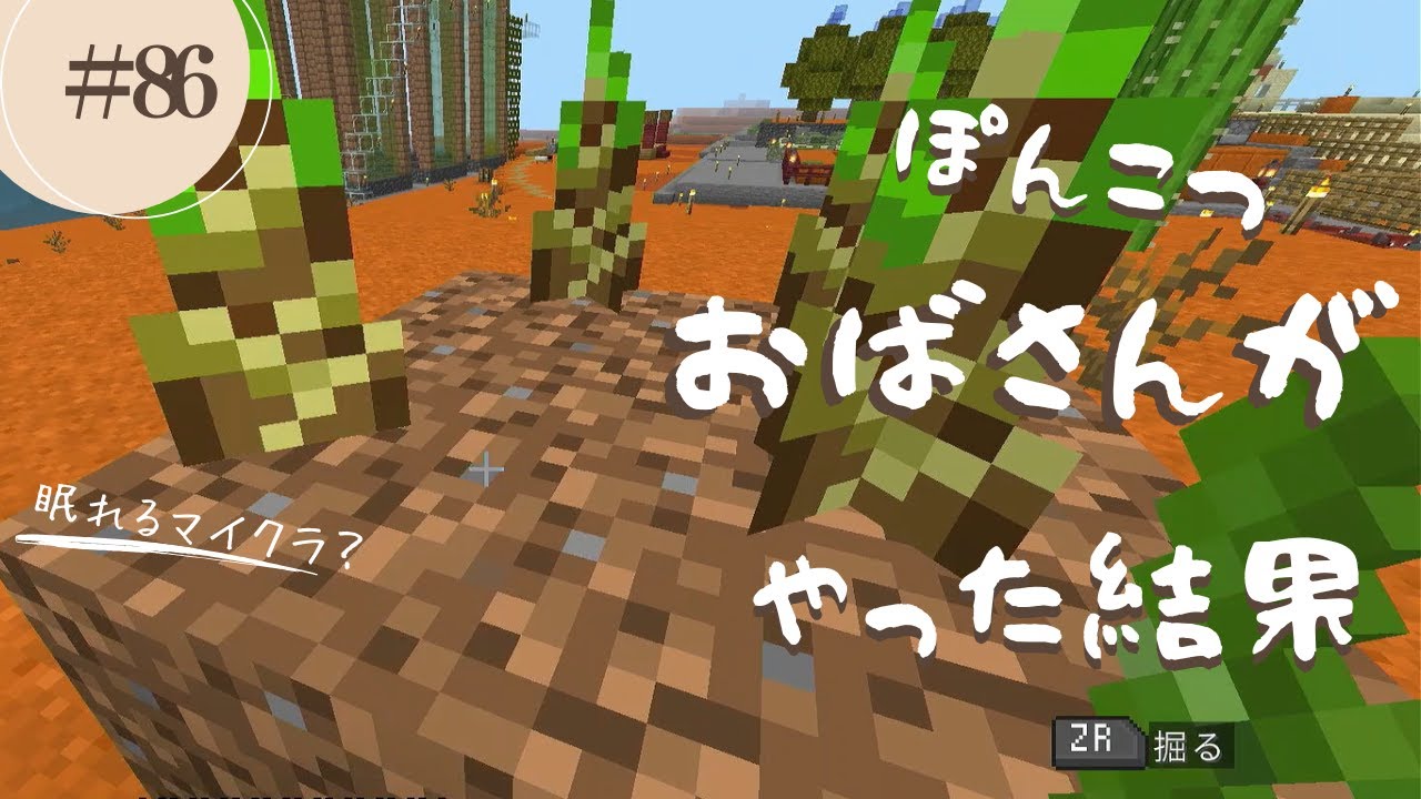 【マイクラ】#86   ぽんこつおばさんがやった結果