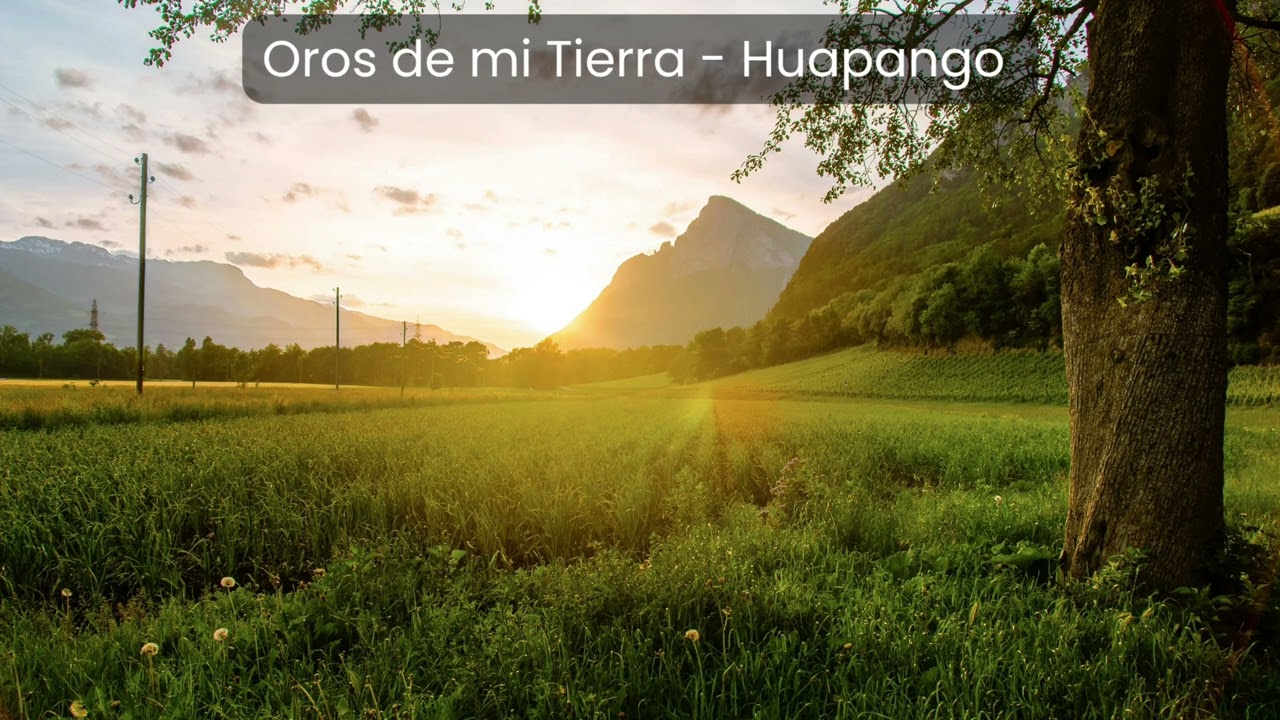 Oros de mi Tierra - Huapango 