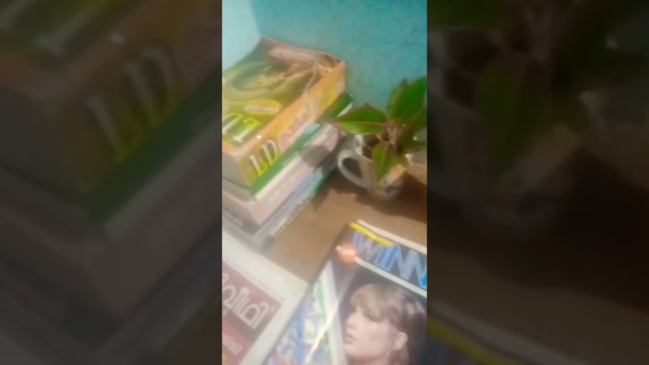 focus on your goal👍🏻✌🏻#ldc2024 #@dreamjobpsc