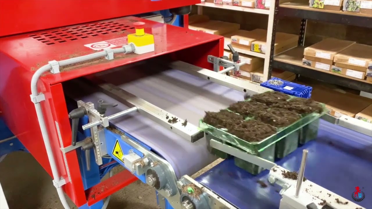 Transplanting line with Template filler - URBINATI Srl