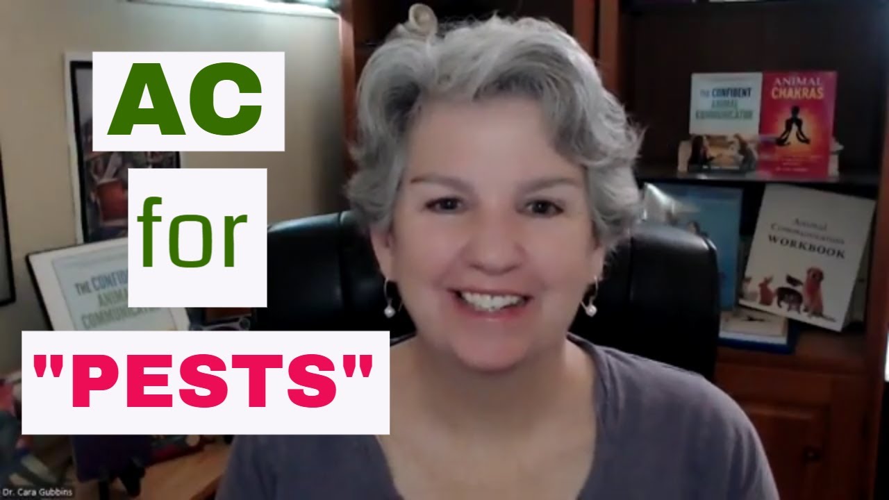 Animal Communication for "Pests"