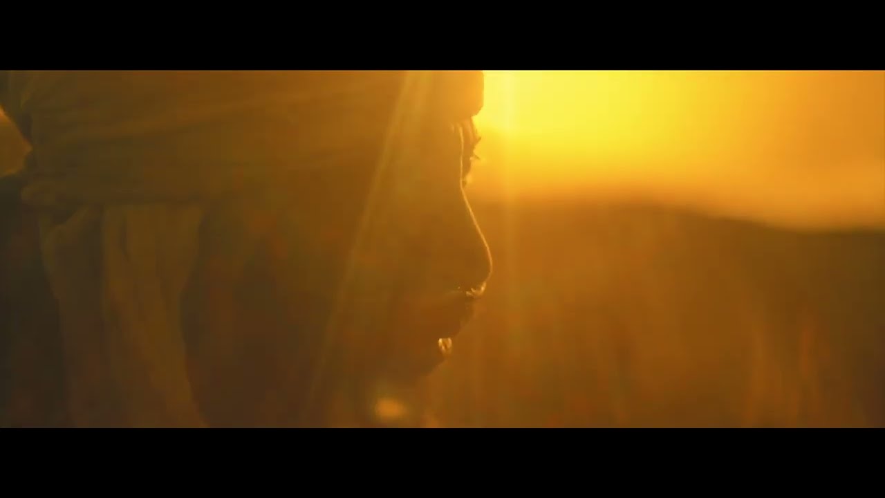 The mystery of life isn't a problem to solve, but a reality to experience. - Jamis.