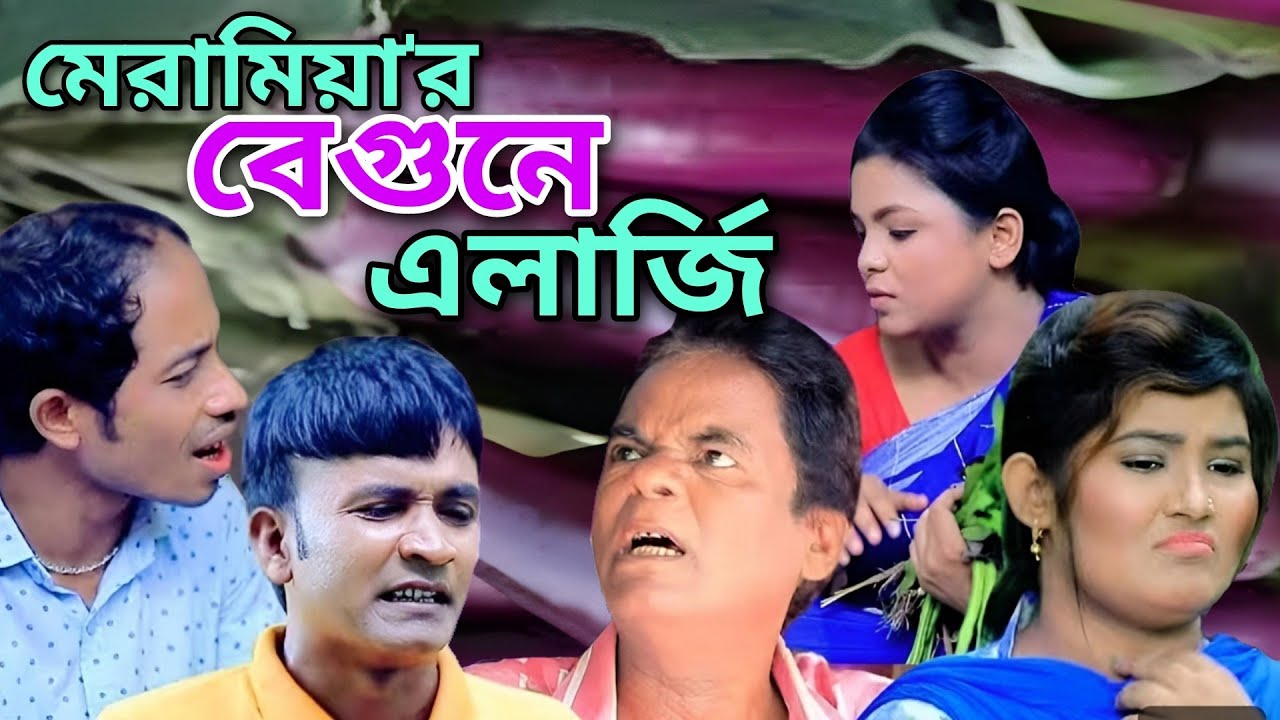 মেরামিয়া'র বেগুনে এলার্জি! #ctg #মেরামিয়া #লেডামিয়া #ইদ্রিস #ফাহিম। #funny #comedy #drama