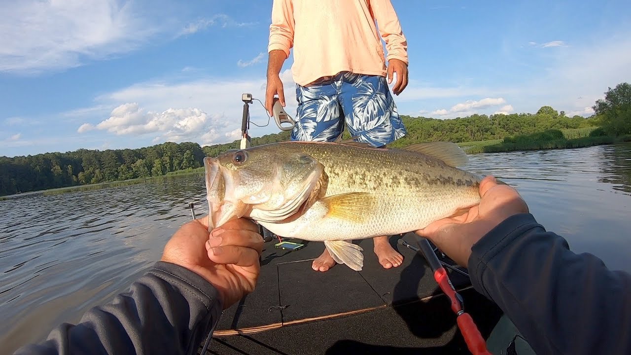 Pesca De Bass 2019