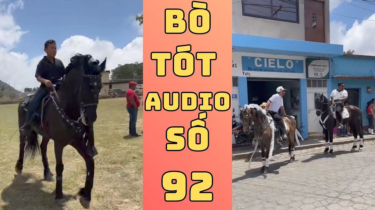 Bò Tót Audio  92 - Phố Cưỡi Ngựa