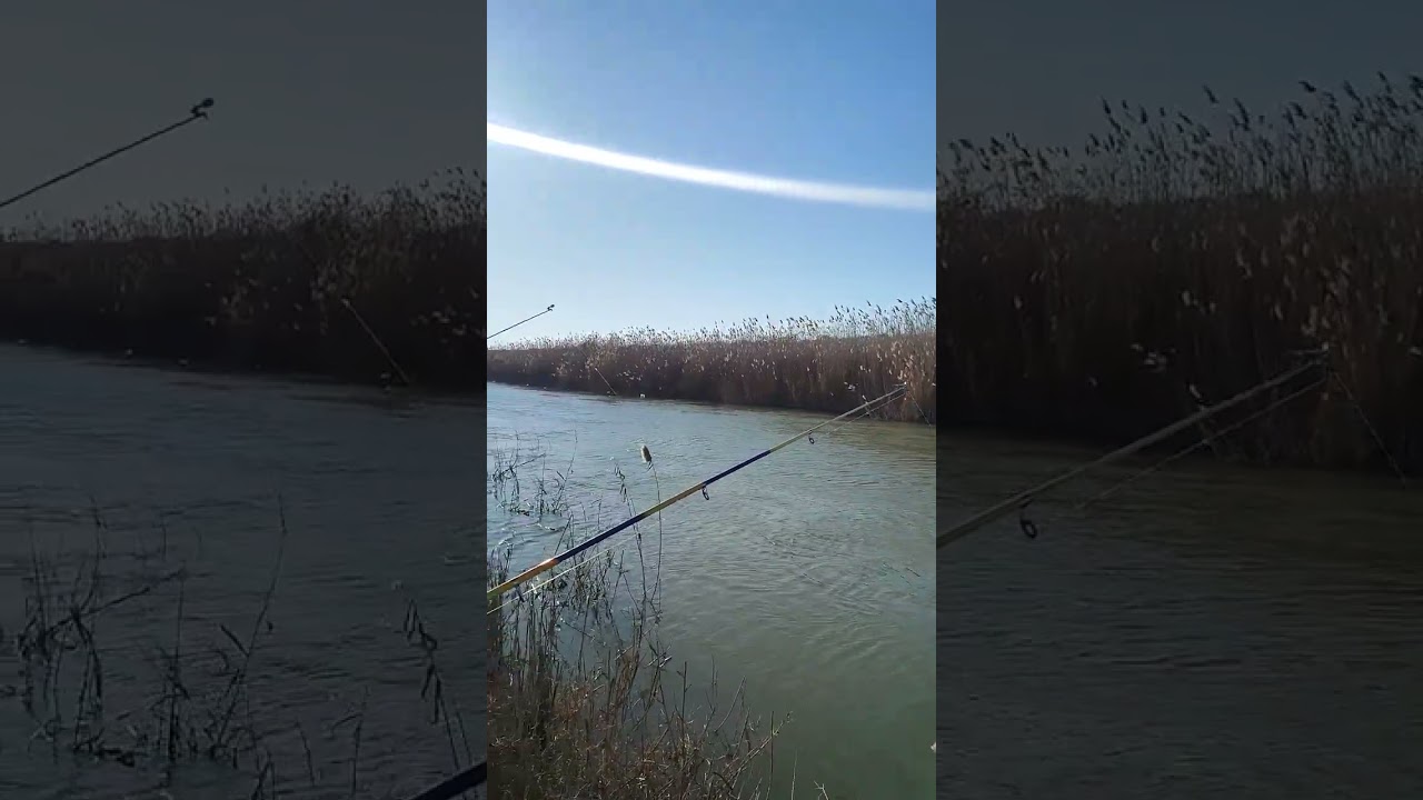 #рыбалка #река #природа #ловлярыбы #baliqovi #baliqovu #fishing #fishingvideo #river #nature