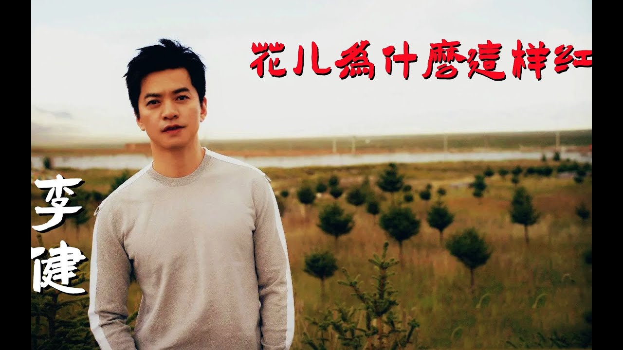 李健一首民歌《花儿为什么这样红》，独特的嗓音，给人全新的感觉