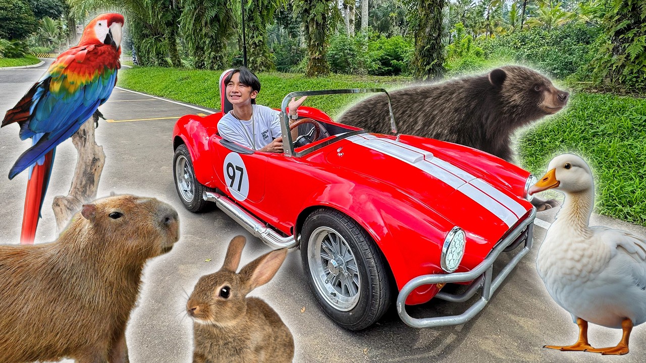 Ziyan Main Sama Banyak Hewan Lucu di Enchanting Valley Bogor