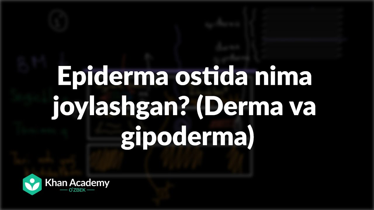 Epiderma ostida nima joylashgan? (Derma va gipoderma) |  Tanani qoplovchi tizim | Tibbiyot