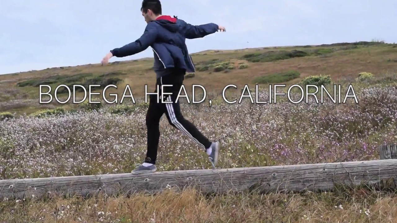 California Travel: Bodega Bay