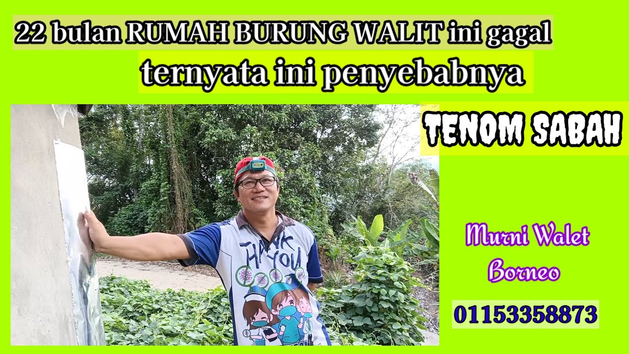 22 bulan RUMAH BURUNG WALIT ini gagal ternyata ini penyebabnya// TENOM SABAH