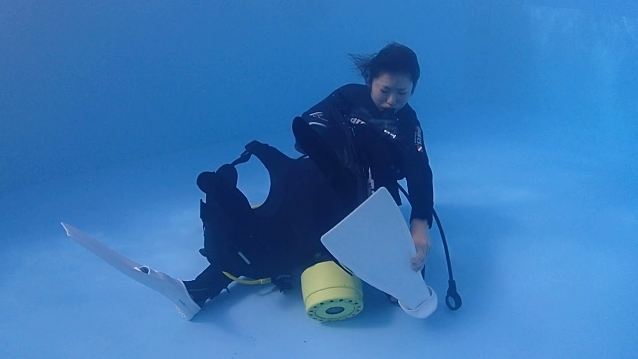 ダイブマスターになる意味は？ダイビング上達のエキスパートトレーニング湘南