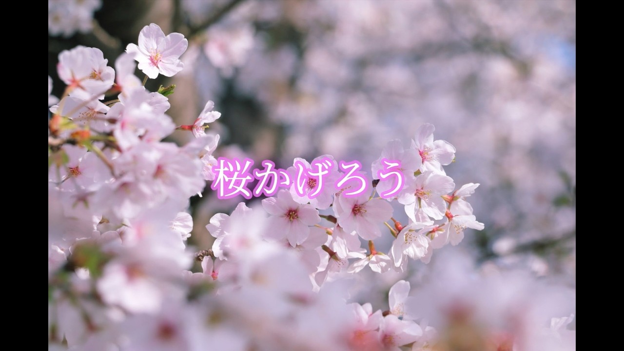 篠笛独奏曲「桜かげろう」
