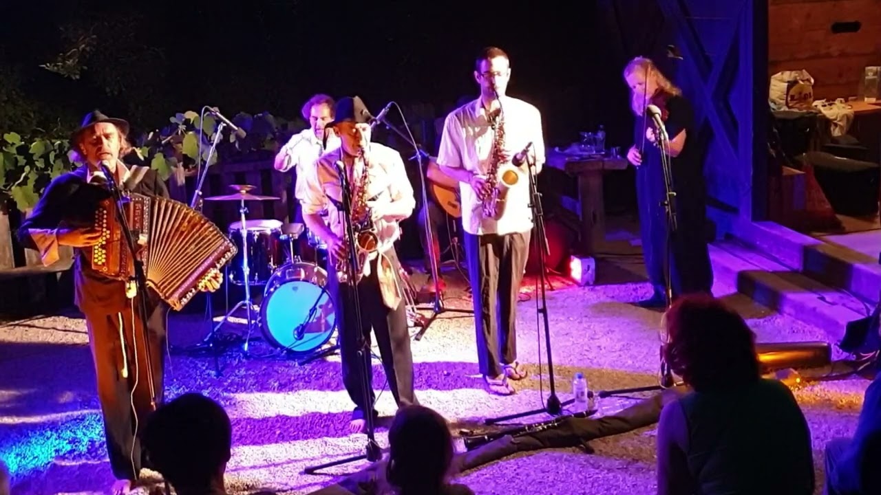 Dane Zajc in Čompe - DVA VRANA  -  Festival Žirovnica