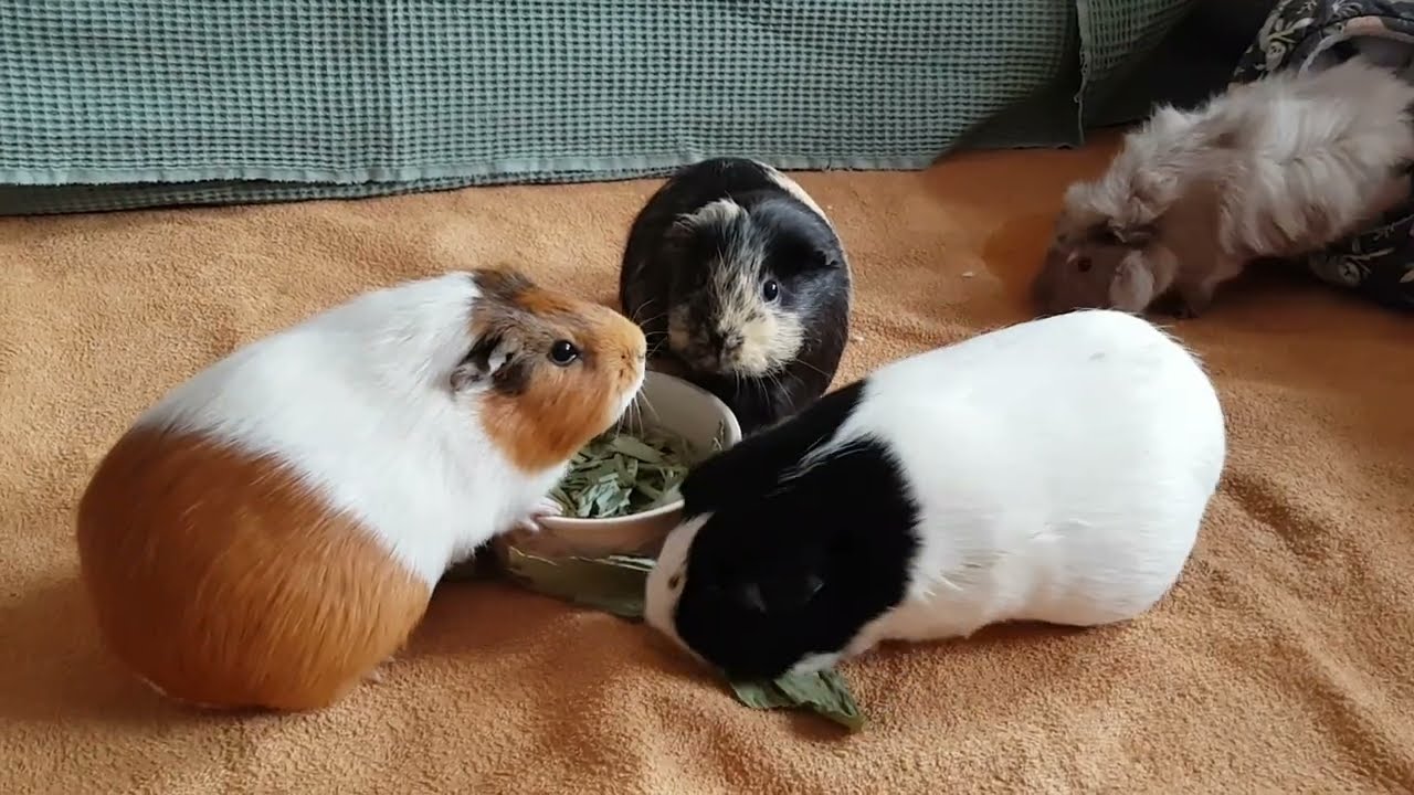 Today you think there'll be a change