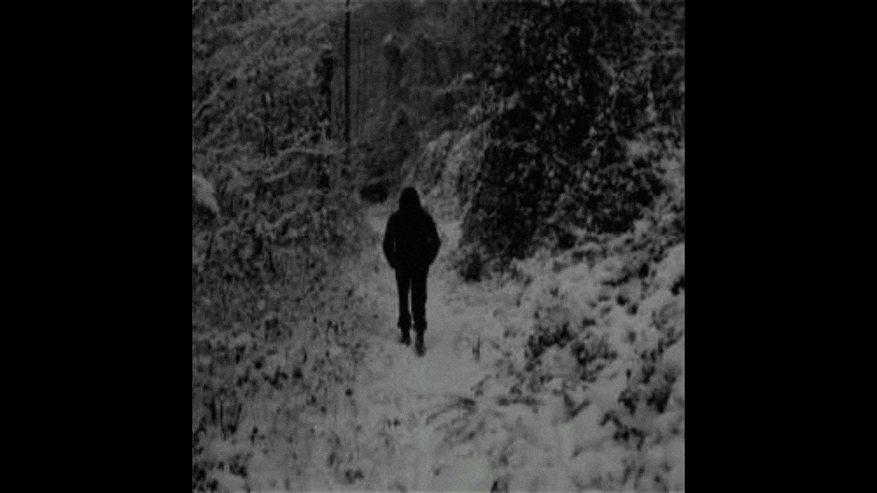 (free) alternative rock + heavy shoegaze + grunge type beat