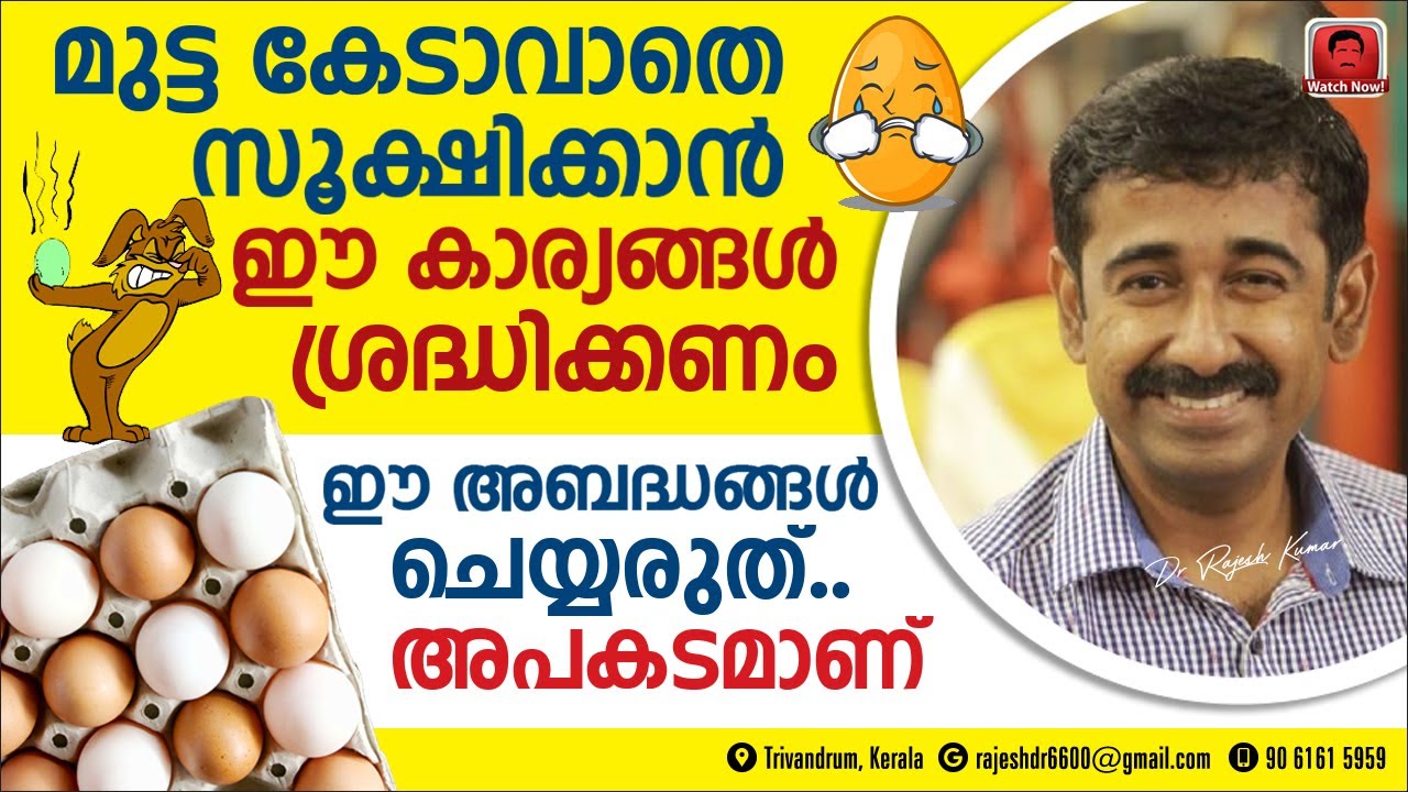 മുട്ട കേടാവാതെ സൂക്ഷിക്കാൻ ഈ കാര്യങ്ങൾ ശ്രദ്ധിക്കണം.. ഒരിക്കലും അബദ്ധങ്ങൾ ചെയ്യരുത്.. അപകടമാണ്