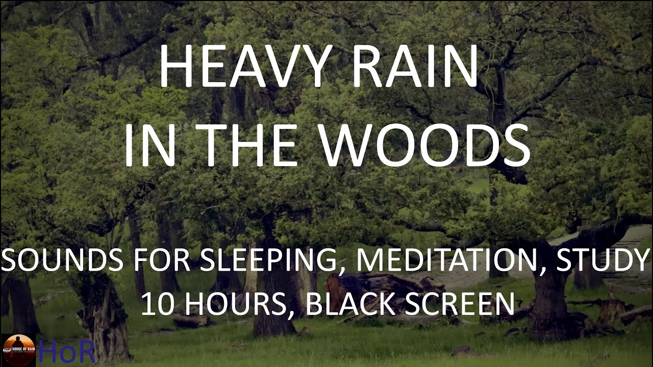 Sleep, Study, Meditate with Heavy Rain Sounds in the Woods, 10 Hours Black Screen by House of Rain