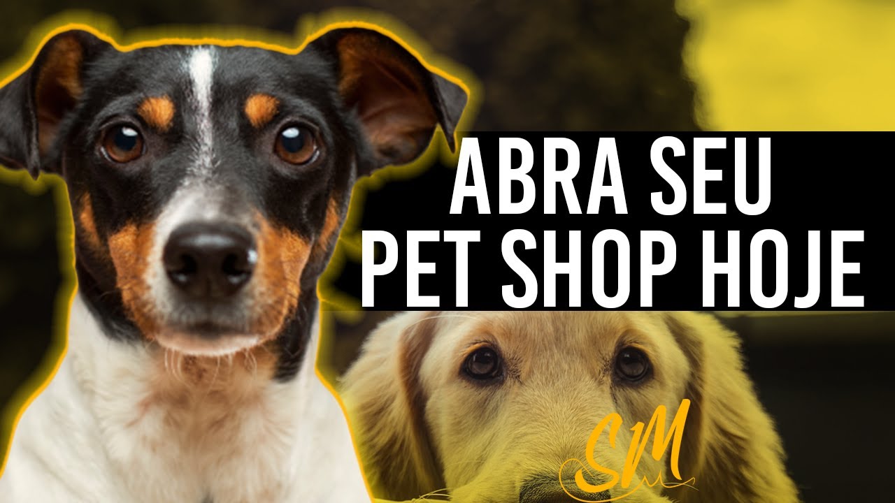 Como abrir um Pet Shop | Contabilidade para Pet Shop | Processos para abertura de um Pet Shop