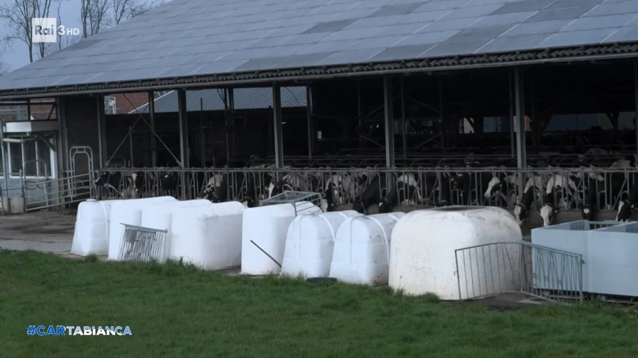 Olanda, lotta all'inquinamento - Cartabianca 14/02/2023