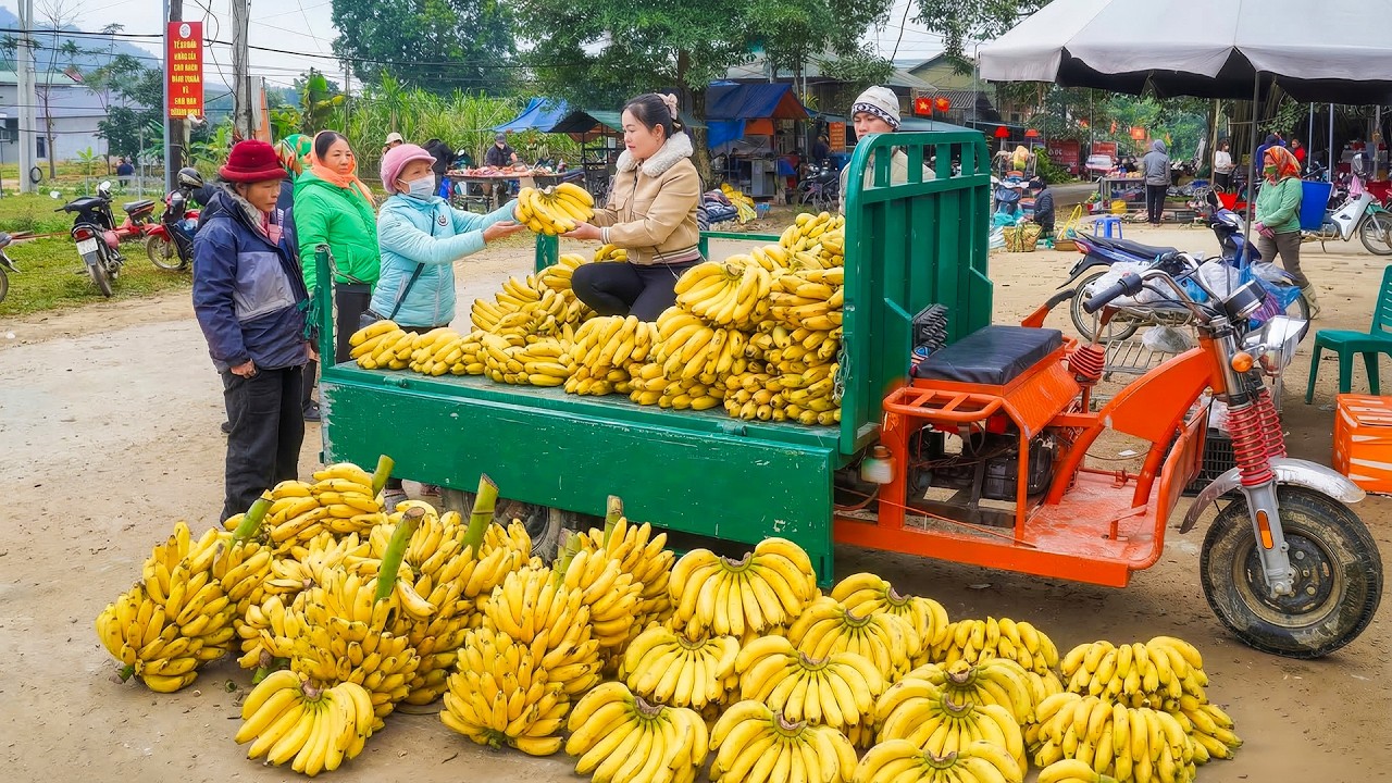 Buying Lots of Bananas from Villager, Use Truck Transport Bananas Go To Sell