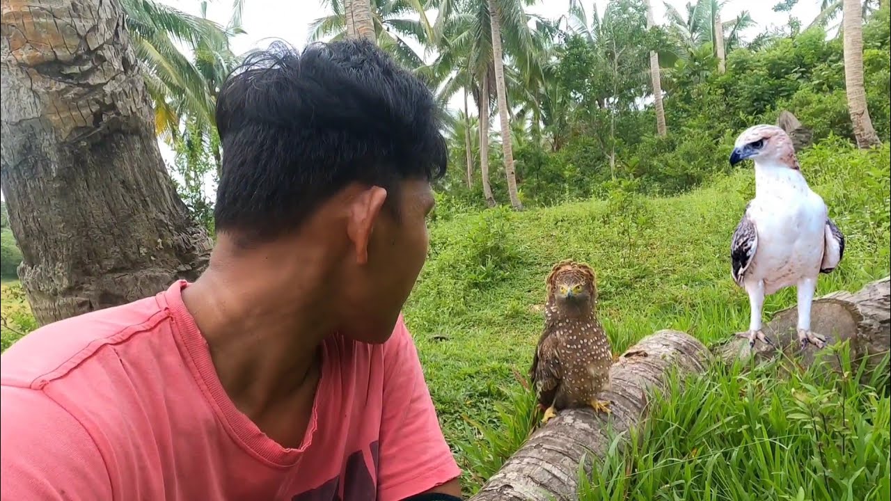ANG SAYA NI PAGASPAS MULING NAKA LABAS