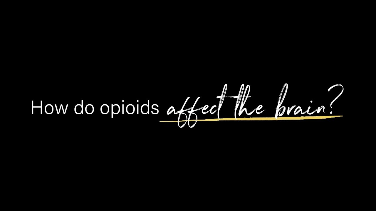 How Do Opioids Affect the Brain? | Dr. Ben Nordstrom