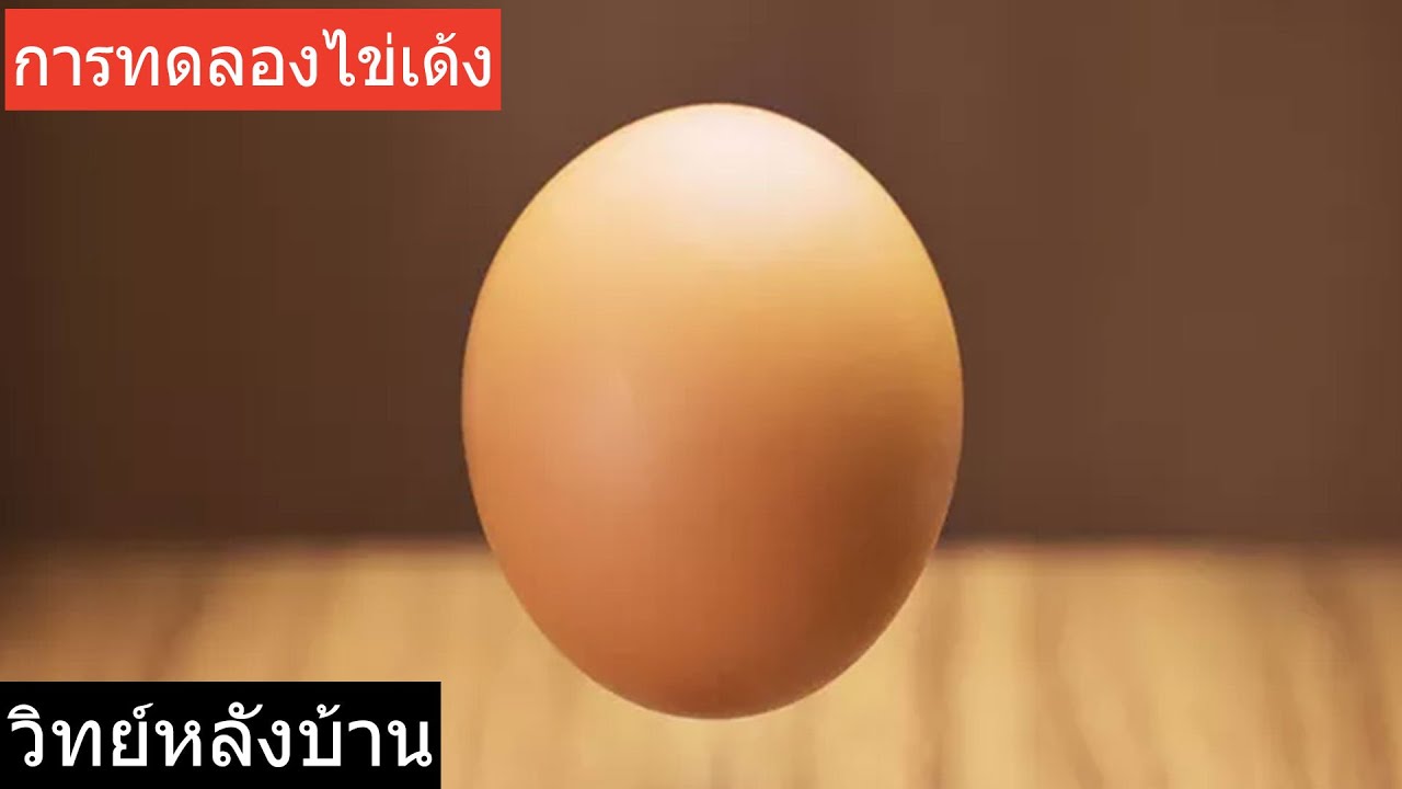 ทำไข่เด้งง่ายๆ แค่ 3 อย่าง | How To Make Bouncy Egg | ไข่ดิบเด้งได้ทำยังไง? วิทย์หลังบ้าน