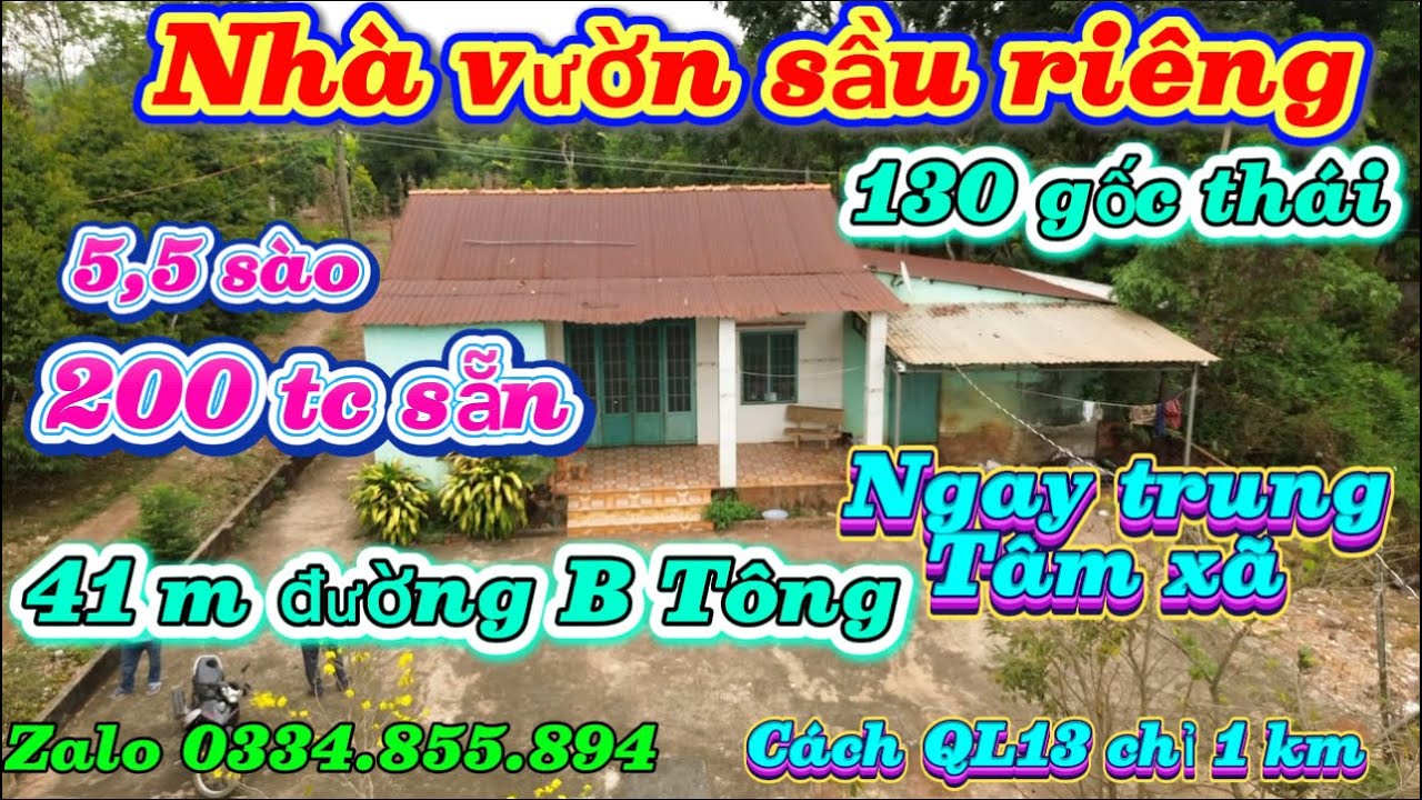 Cách QL13 chỉ 1 km chủ ở xa nên cần bán  nhà vườn sầu riêng 3 năm tuổi 200 tc sẵn mà giá chỉ 1,9 tỷ 