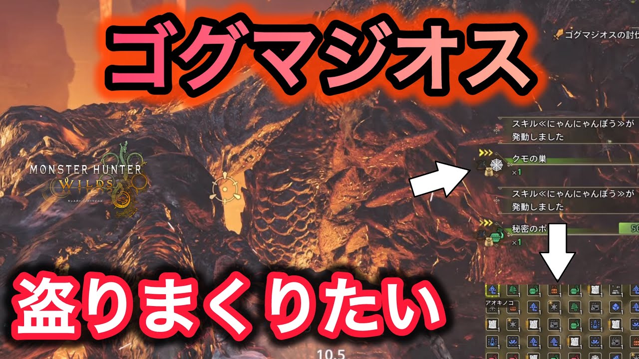 にゃんにゃんぼうでゴグマジオスからアイテムを何個盗む事ができるのか【MonsterHunterWilds】