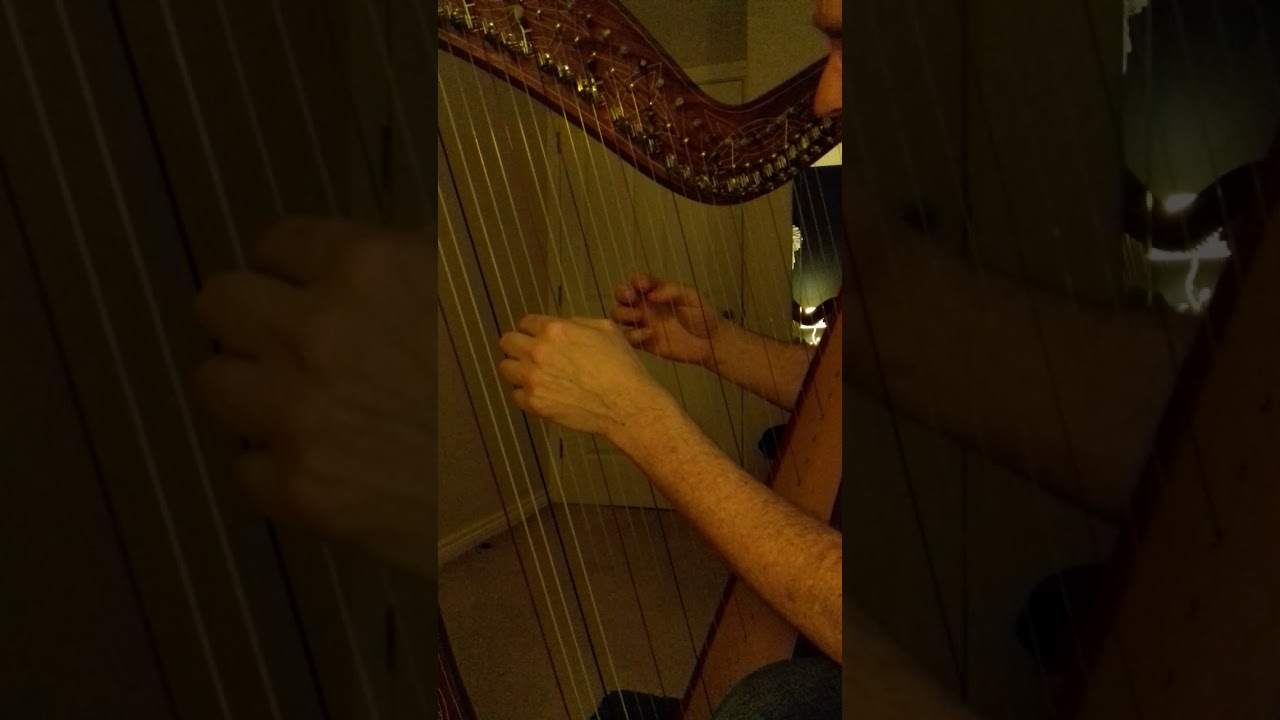Scott Silver playing Eiunadi on Harp