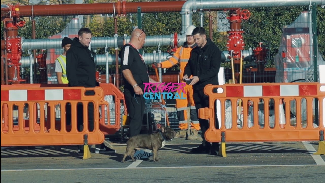 Константин - Воровство собак 🇷🇴 @lloydylloyd_ @Discoboy
