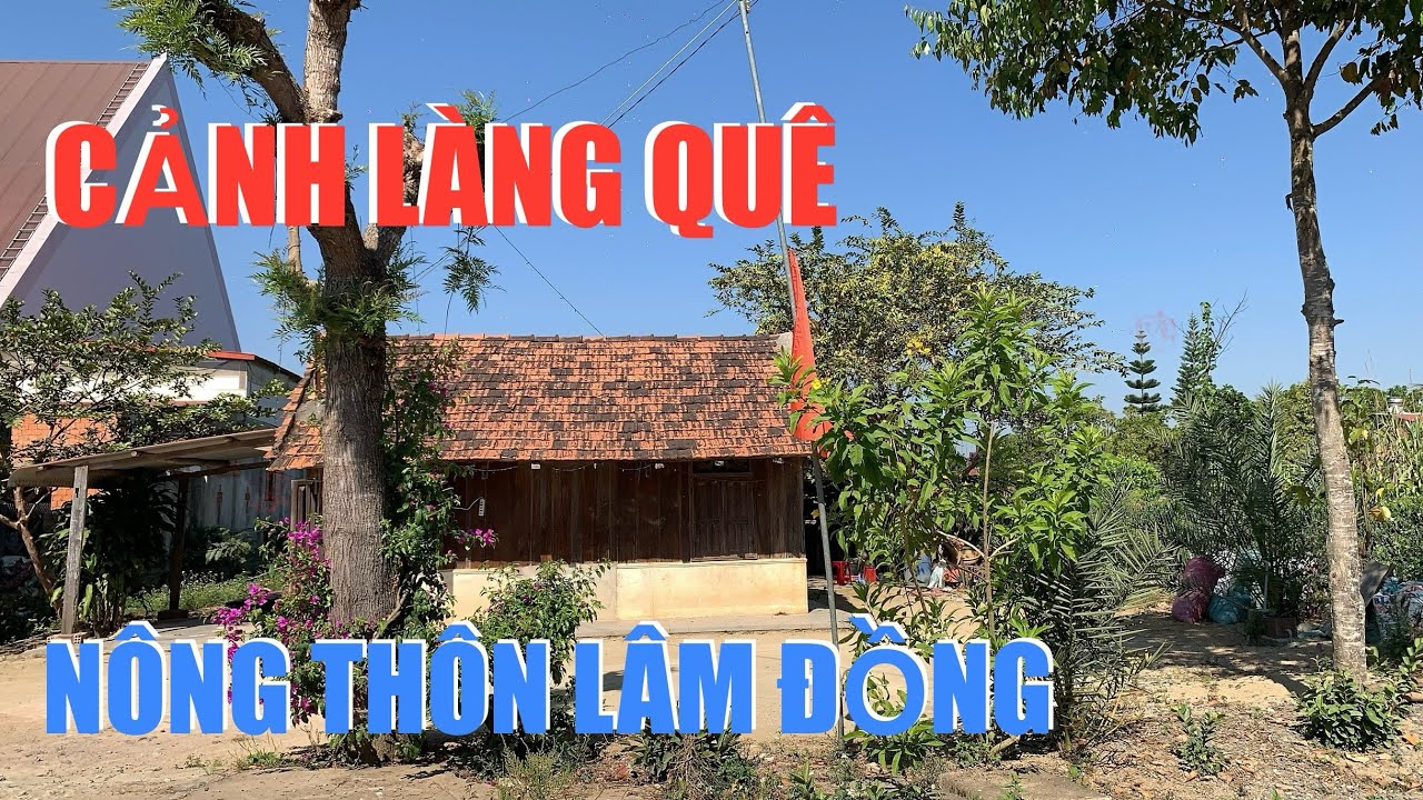 Vẽ đẹp nông thôn Việt Nam.Ngôi làng của đồng bào cao nguyên Lâm Đồng.