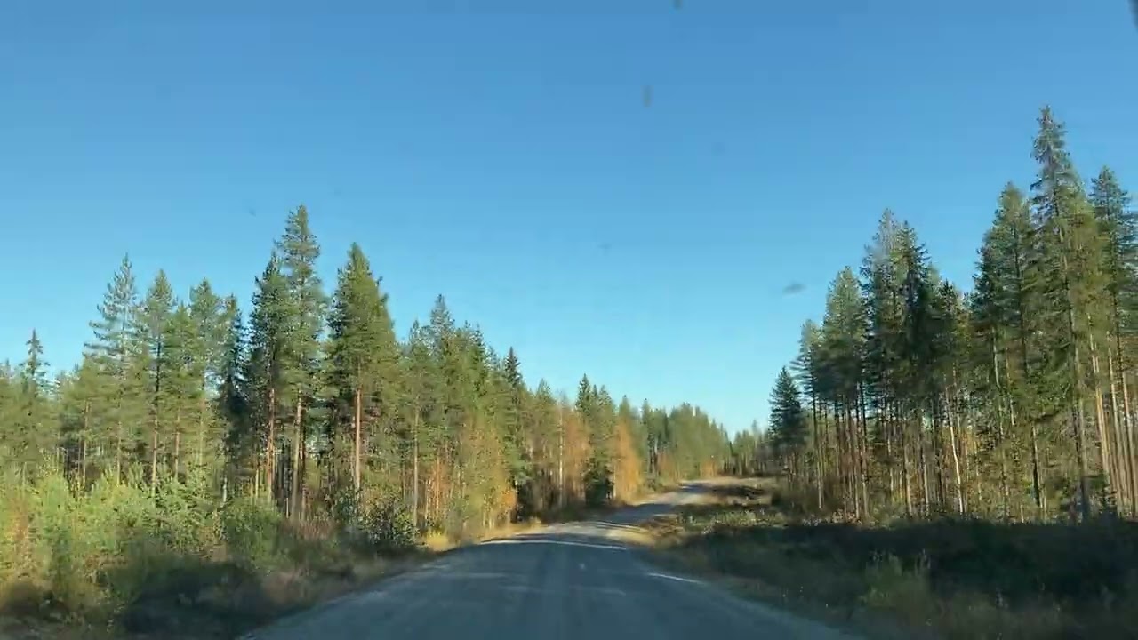 Kuhmo - Nieminen