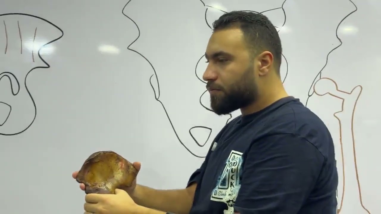 LOWER LIMB ANATOMY LECTURE-1 KA-199