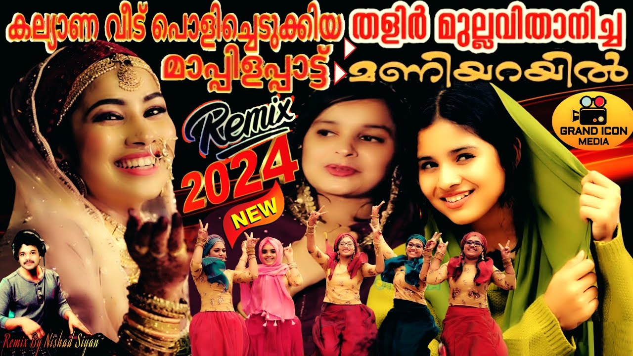 Thalirmulla Vithanicha Maniyarayil / Latest Remix 2024 / Mappila Wedding Song Reprised Version