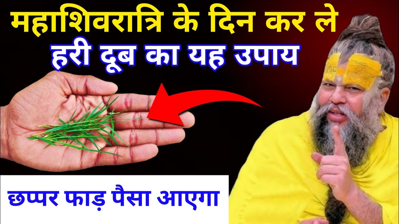 चमत्कार को नमस्कार😱 महाशिवरात्रि के दिन घर ले आना यह पौधा फूटी किस्मत चमक जाएगी//