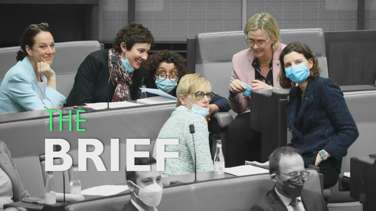 Teal independents take their seats as climate change dominates parliament | The Brief | ABC News