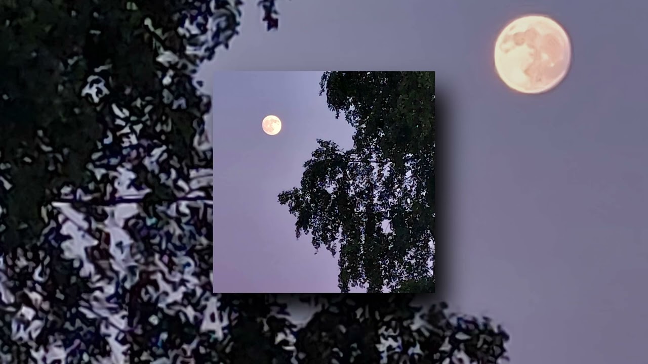 meeries - "therapie" prod. 