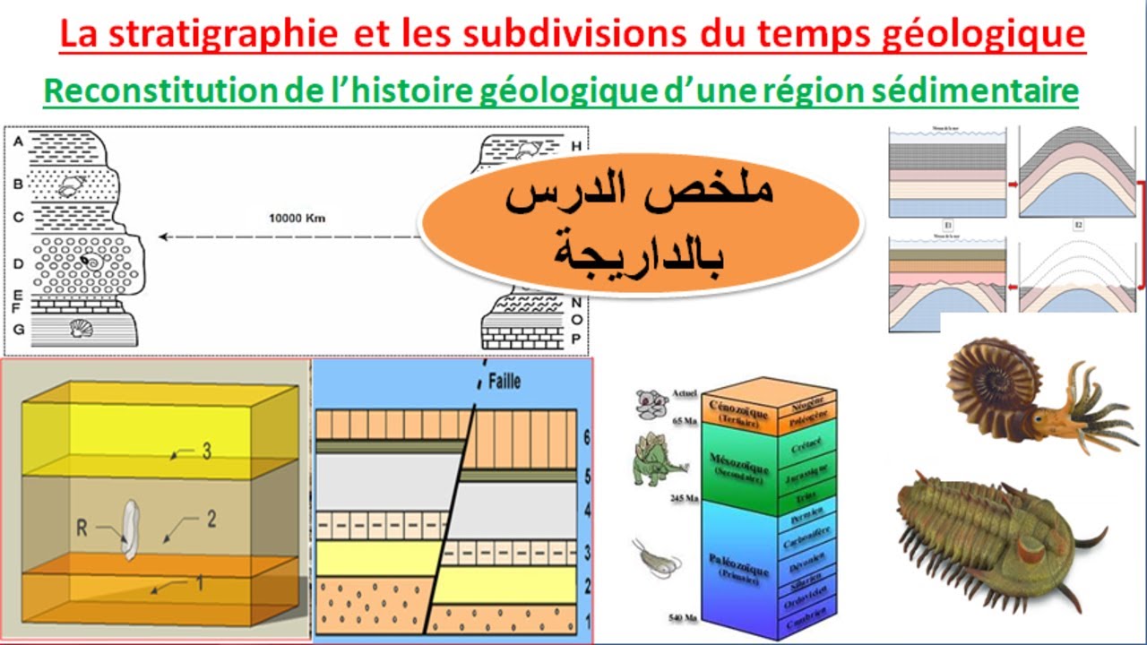 résumé du chapitre 2 : la stratigraphie et les subdivisions du temps géologique (ملخص بالداريجة)