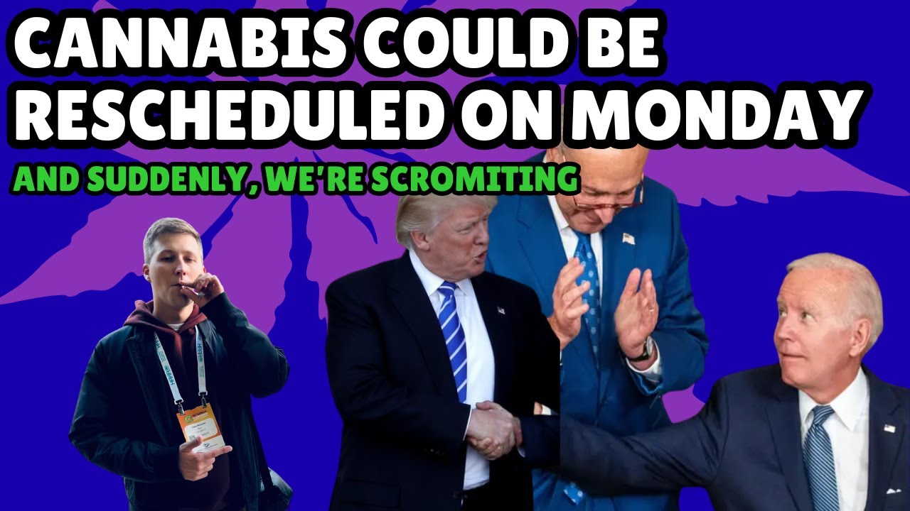 Cannabis Rescheduling Nears as &lsquo;Scromiting&rsquo; Dominates Headlines