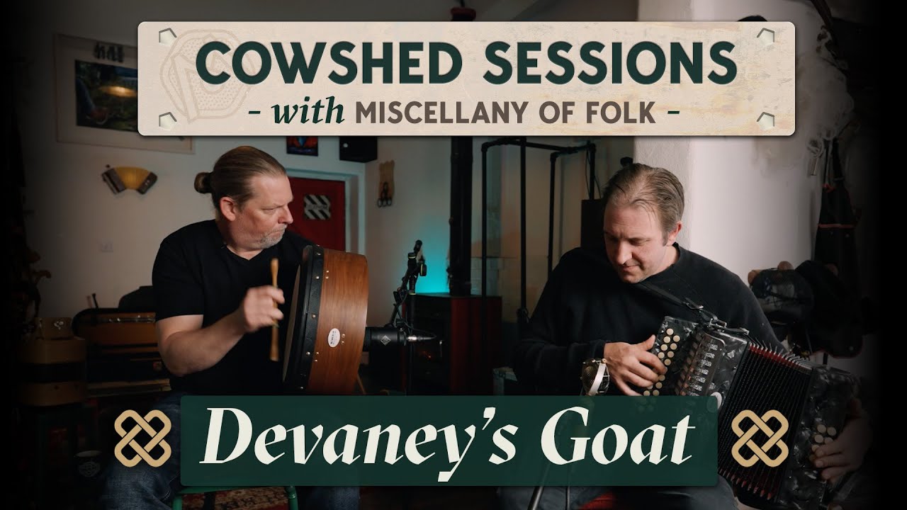 Toe-Tapping Performance of 'Devaney's Goat' by Miscellany of Folk (Cowshed Sessions)