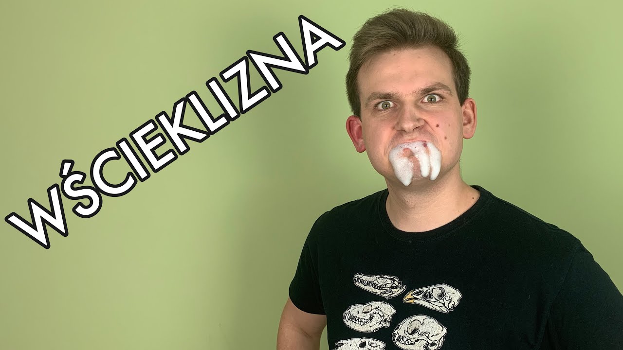 WŚCIEKŁE PSY | WŚCIEKLIZNA