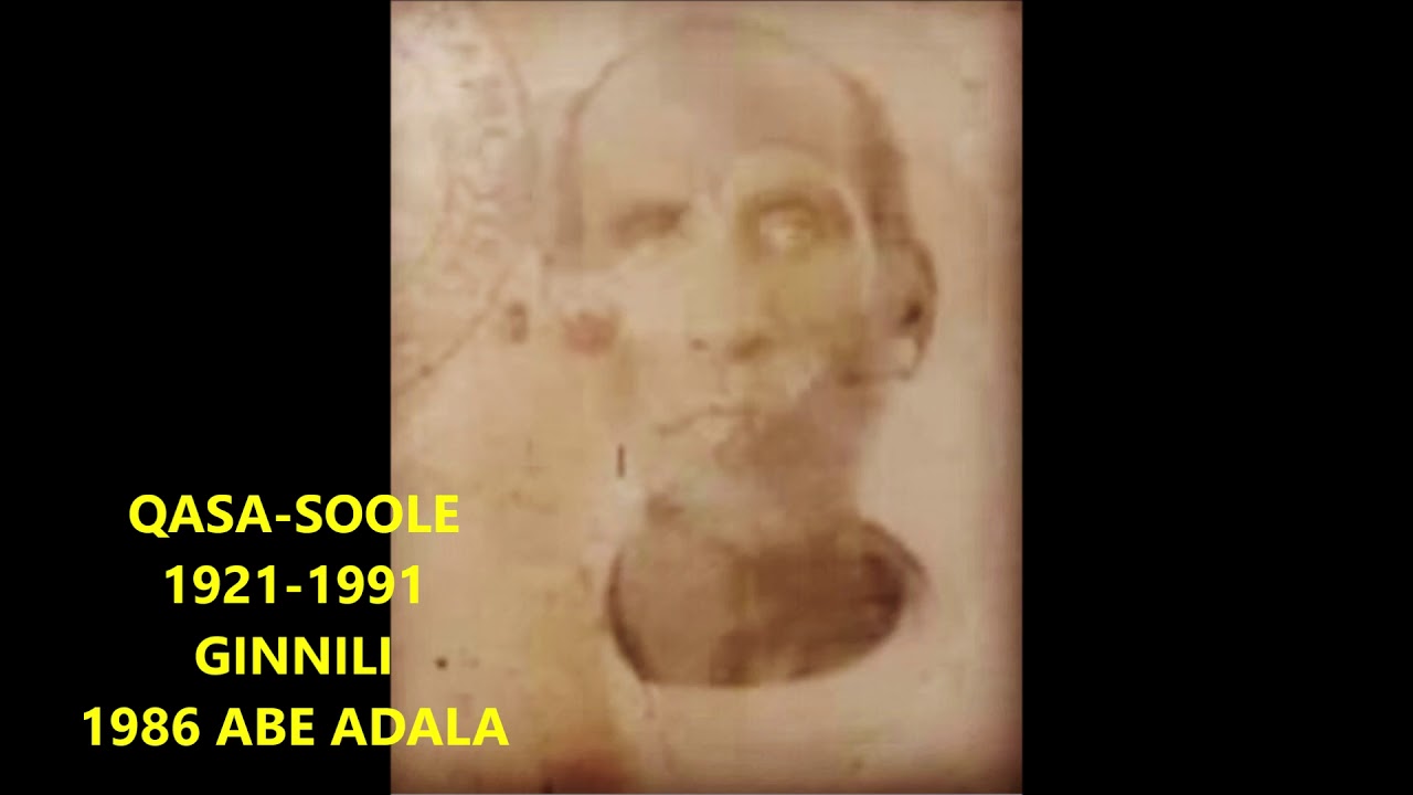 Qasa  soole ginniil