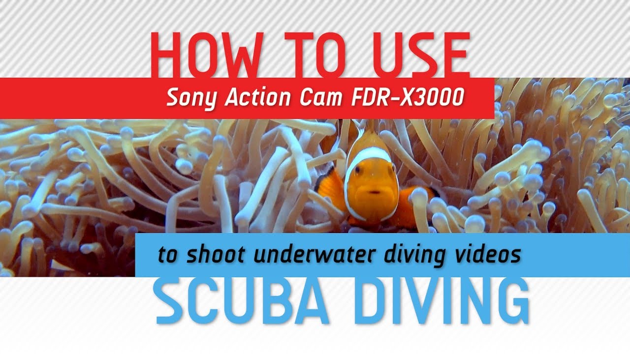 How to shoot Scuba Diving Videos with Sony Action Cam FDR-X3000