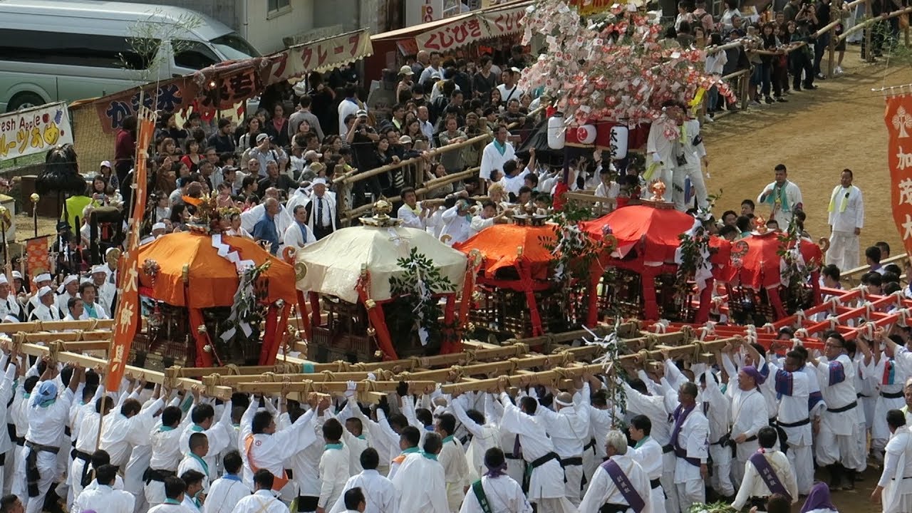 菊間祭り 御神輿とだんじり練り かきくらべ　今治市 加茂神社 馬場にて 令和元年 10月