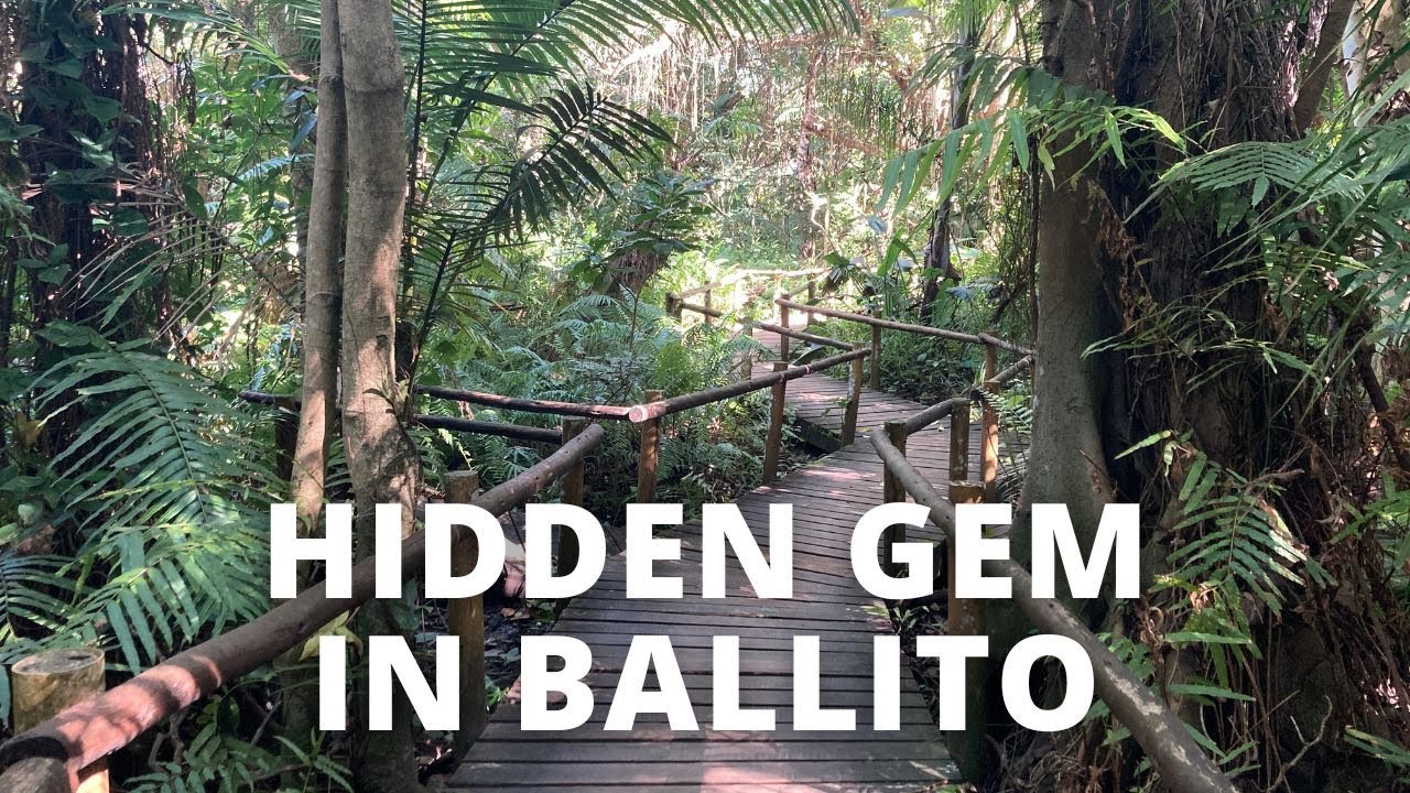 Hidden gem in Ballito - Forest Walk at The Waterberry Coffee Shop