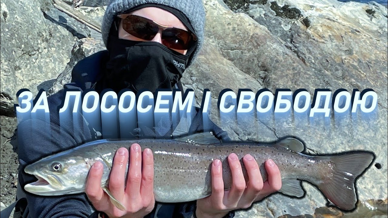~За лососем і свободою - чому варто подорожувати?